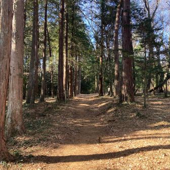 遊歩道🌿へ進みます🚶‍♂️😄