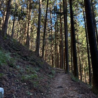 本日なかなかの風が吹いておりますが、南斜面のお陰で風の影響はほぼありません。