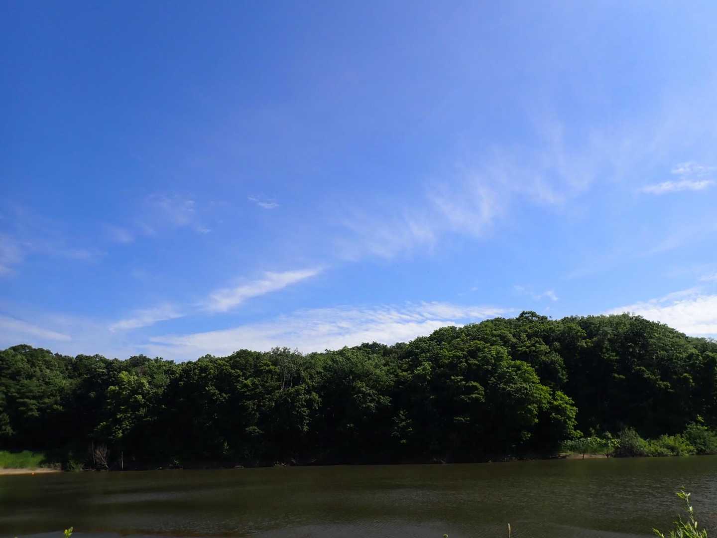 ちょっと池見て