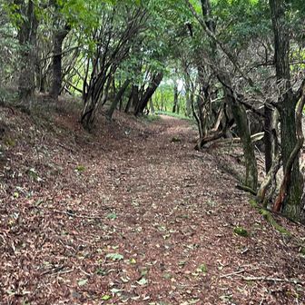 素敵な道✨✨