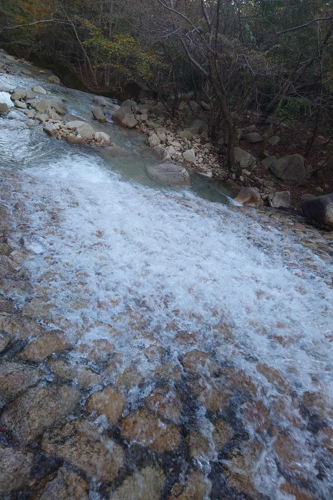 朝明登山口-国見岳-根の平峠 往復コースの写真