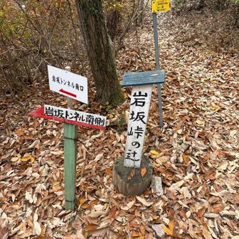 ここの下にトンネルあって通学路として使ってた🏍️懐かしい〜😭