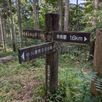 中川清秀主従の墓