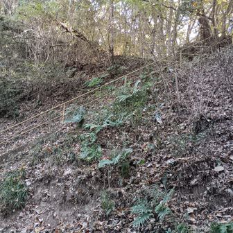 この階段を上がると見張山。
階段下に見張山の案内標識があったはずだが、いつの間にかなくなっている。
下の溝を少し探索したが見つからない。
風で飛んでいったか？
