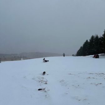 人がいるにゃ〜