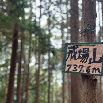 ▪︎戒場山⛰️山頂▪︎

眺望なし