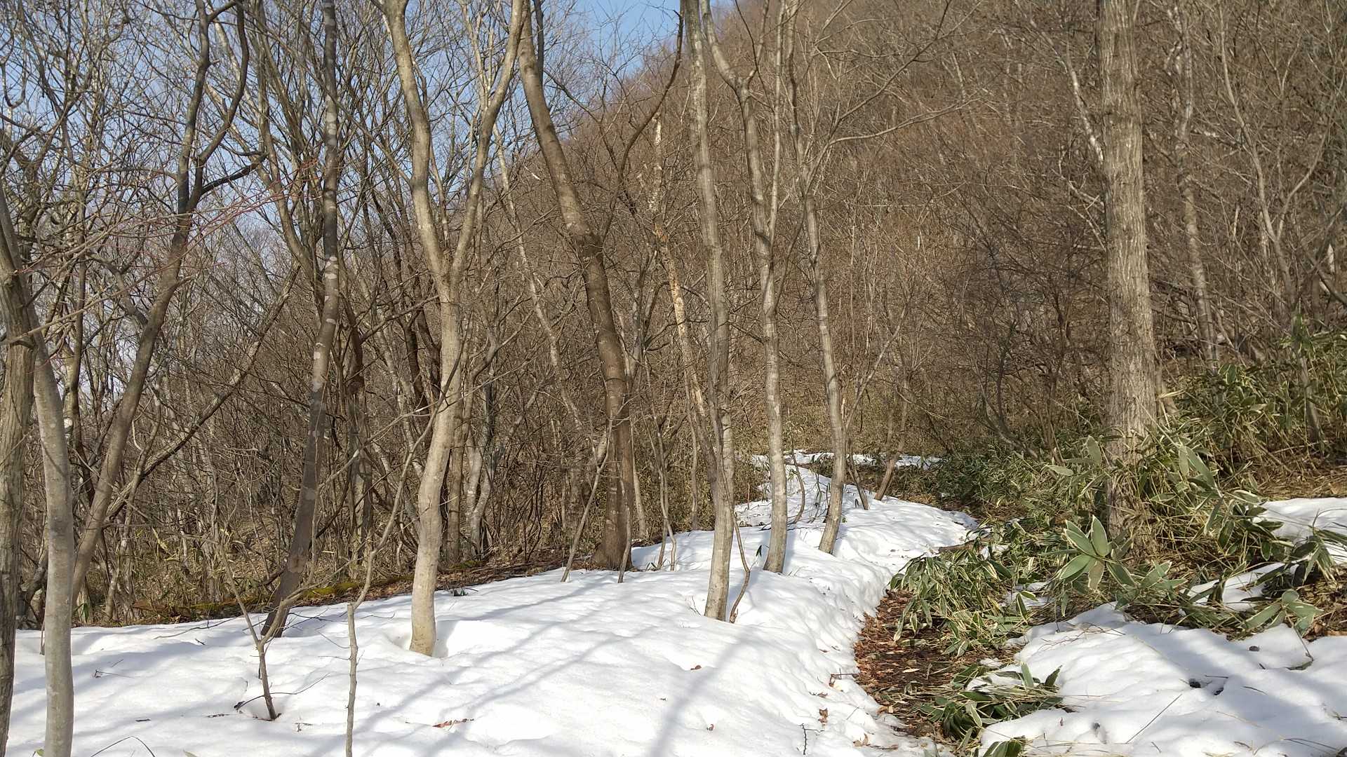 雪がまだまだあるけど春を感じる！