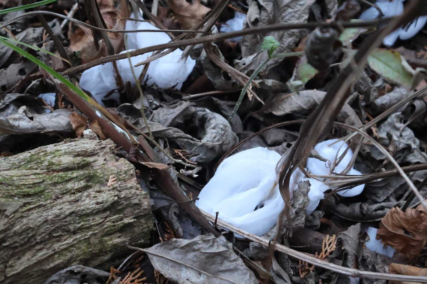 石老山登山口-石老山-大明神-さがみ湖MORIMORI前- 周回コースの写真