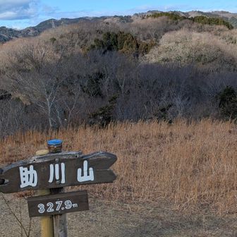 助川山から高鈴山
・高鈴山は花の百名山（センブリ）