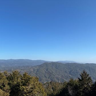 木のベンチがいくつかあって皆さんランチされてました🍙