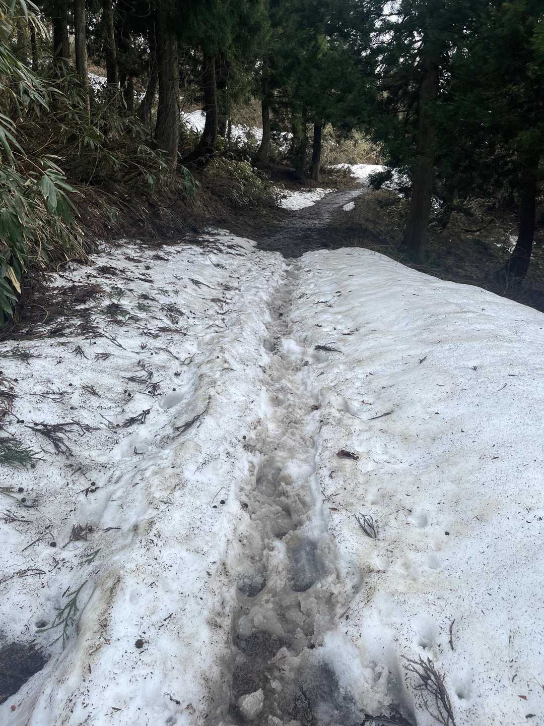 雪はこの辺だけでした