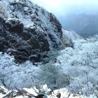 今日の主役は後傾かな
猫耳見に縦走路まで降りるのは欲張り
今日は猫背を味わう
