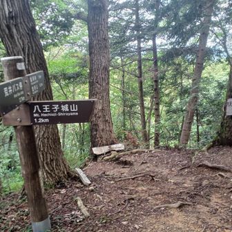 城跡からのルートと合流