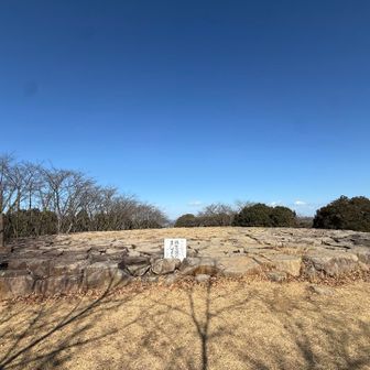 とりあえず標識はないが、この石垣のうえが頂上のようです