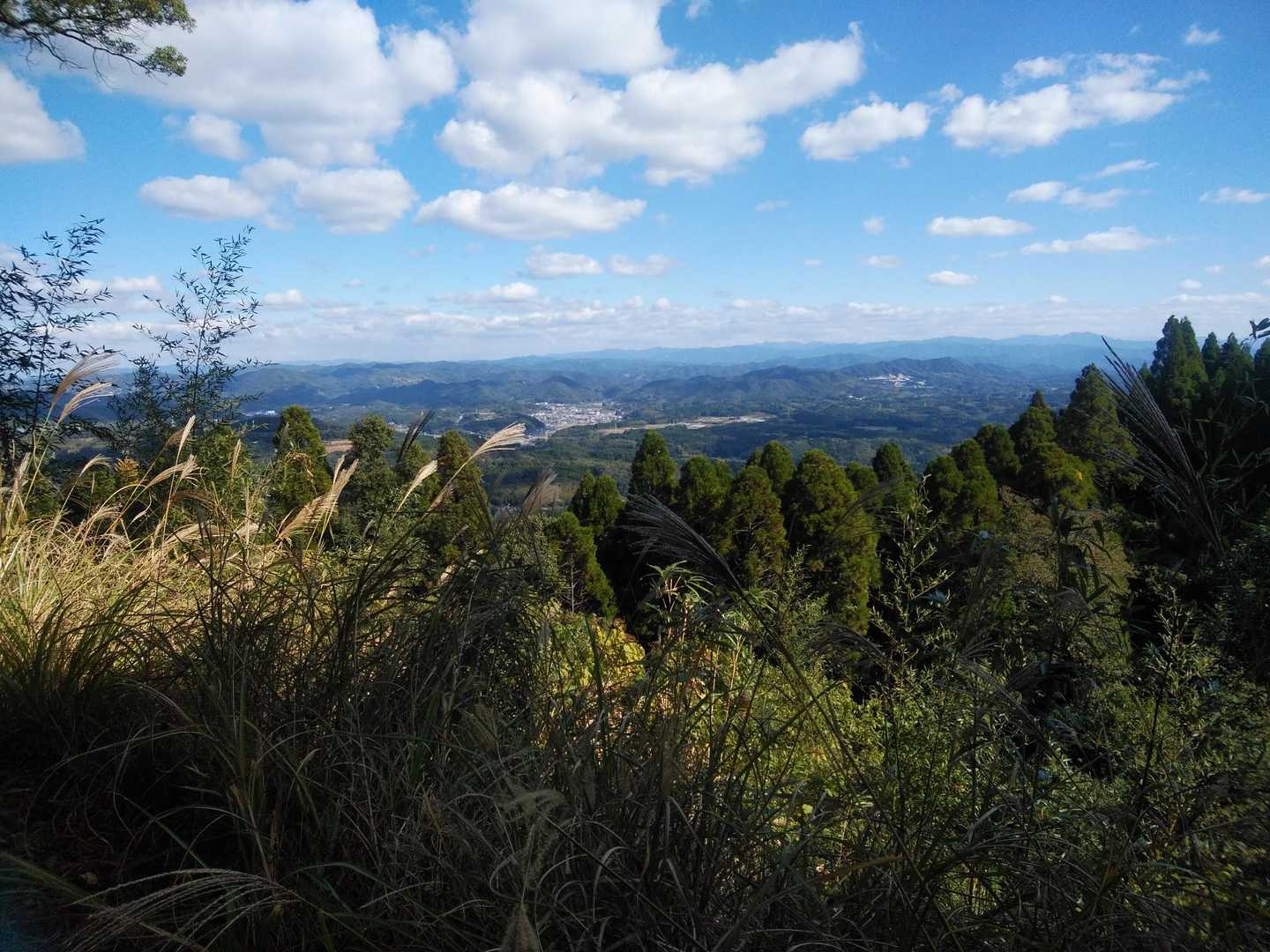 三池山登山道入口-三池山 往復コースの写真