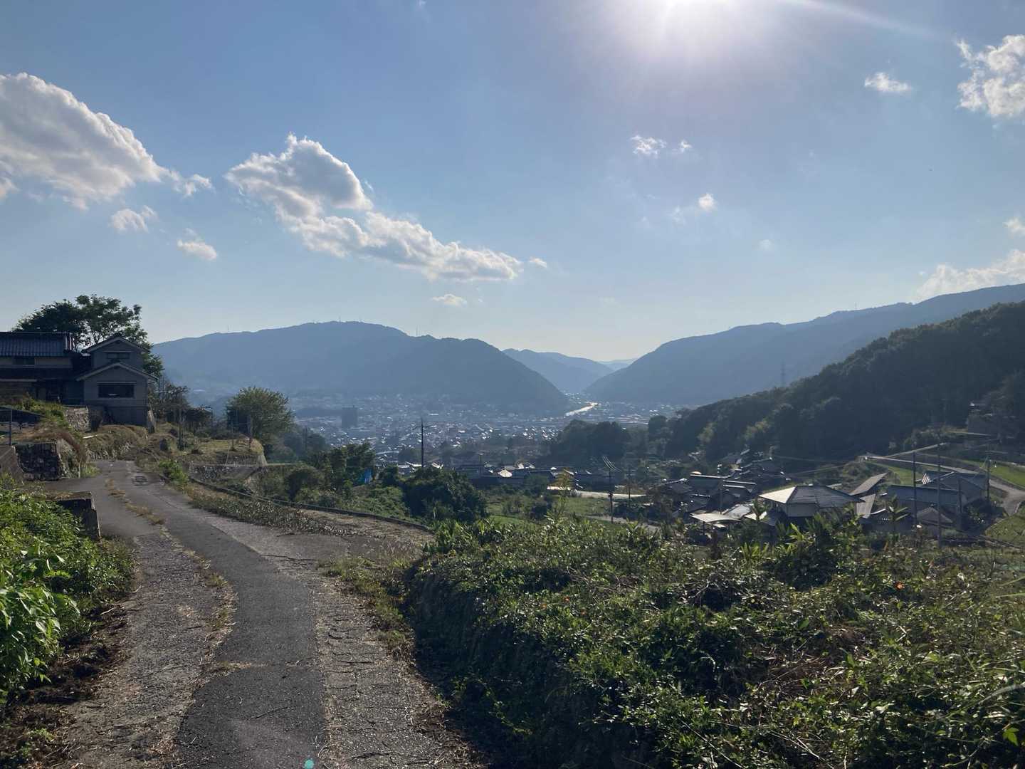八尾山-亀ヶ岳 周回コースの写真