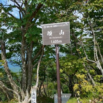 傾山山頂からの眺めは
峰の先へ行くときスマホを持って行ってなかったので写真はなし