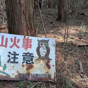 眺望なし
下山しまーす(^∀^)ゞ