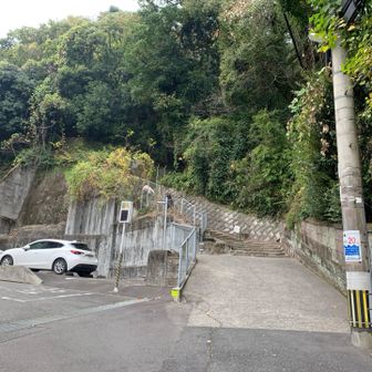 散歩のメインはこっちなので。