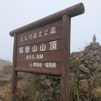 来れた😭