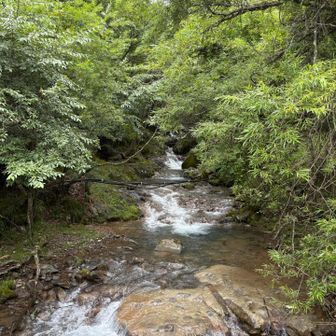 北沢　南沢の分岐手前