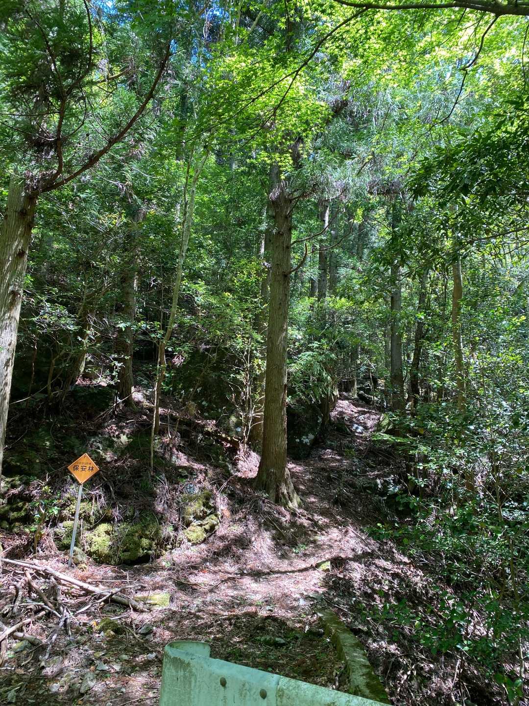 ここが登山口💦沢のような所から登りますがすぐ左手に曲がって尾根筋目指す感じだったと思います😅