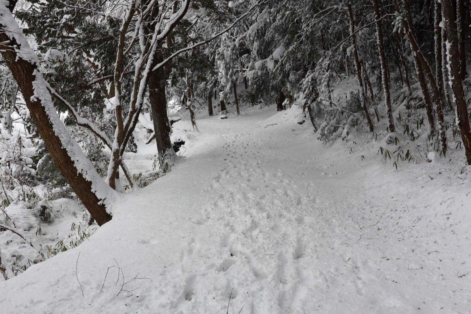 千疋北山-西山 周回コースの写真