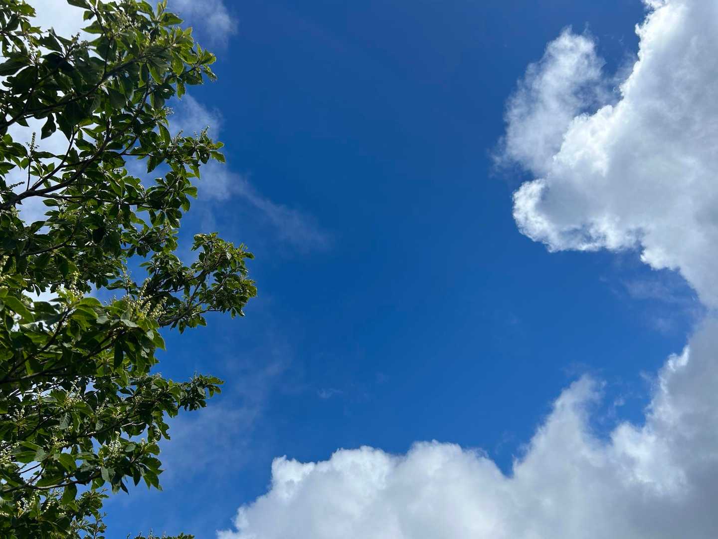 青空🟦