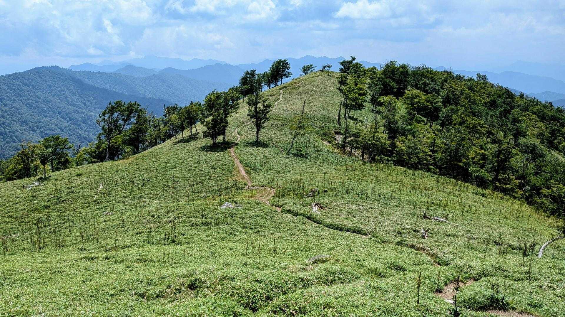 太尾登山口-古田ノ森-千丈平-釈迦ヶ岳 往復コースの写真