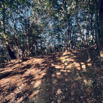 やっと入り口🚪