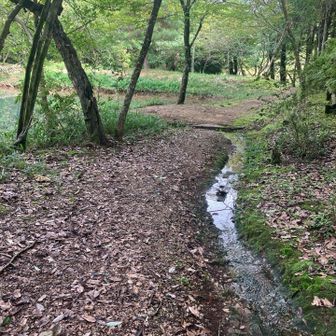 池の横の道を使って🅿️へと向かう。