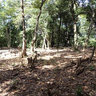 標高227ｍ　兜山　山頂
陣跡らしく平らな広場のようになっている。