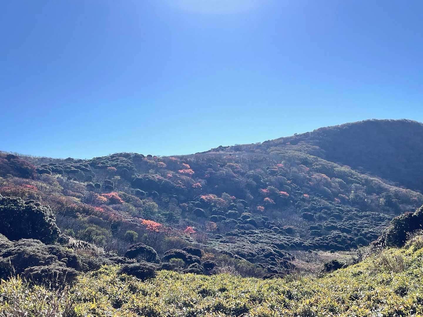 泉水山-上泉水山-黒岩山-牧ノ戸峠 周回コースの写真