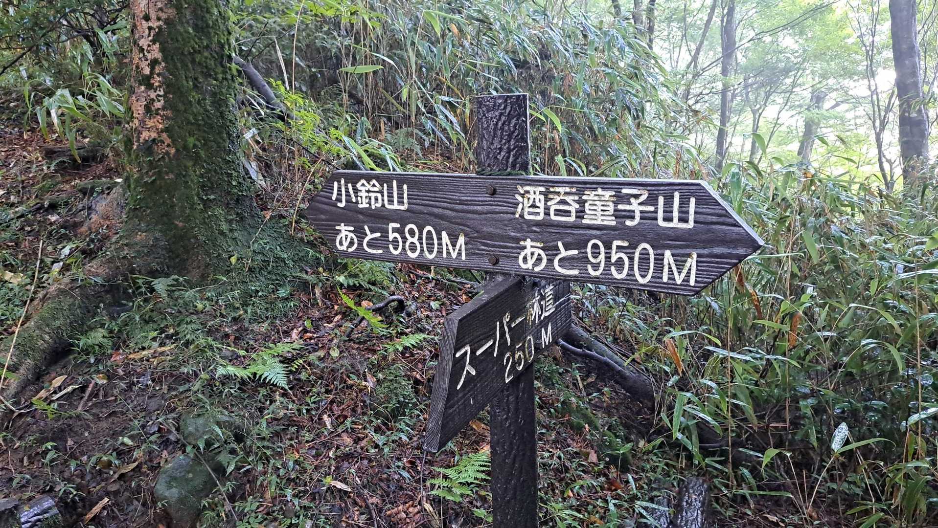 帰りはスーパー林道。
