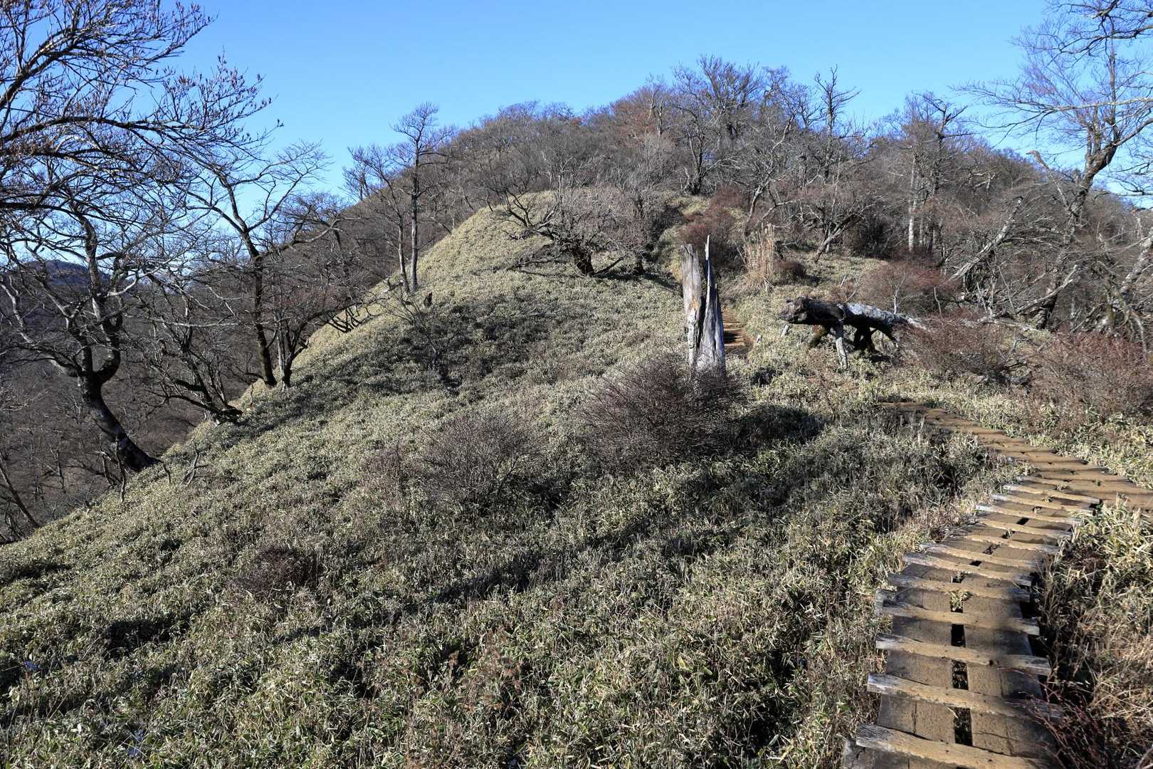 山頂が見えてきました。