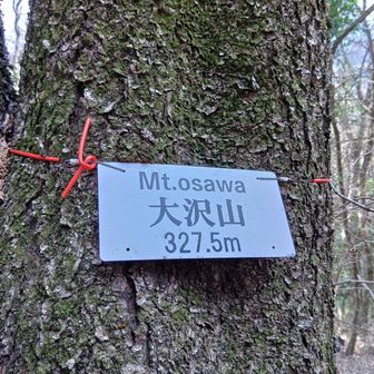 ワイヤーが食い込んでかわいそう⋯
助けてあげたかった