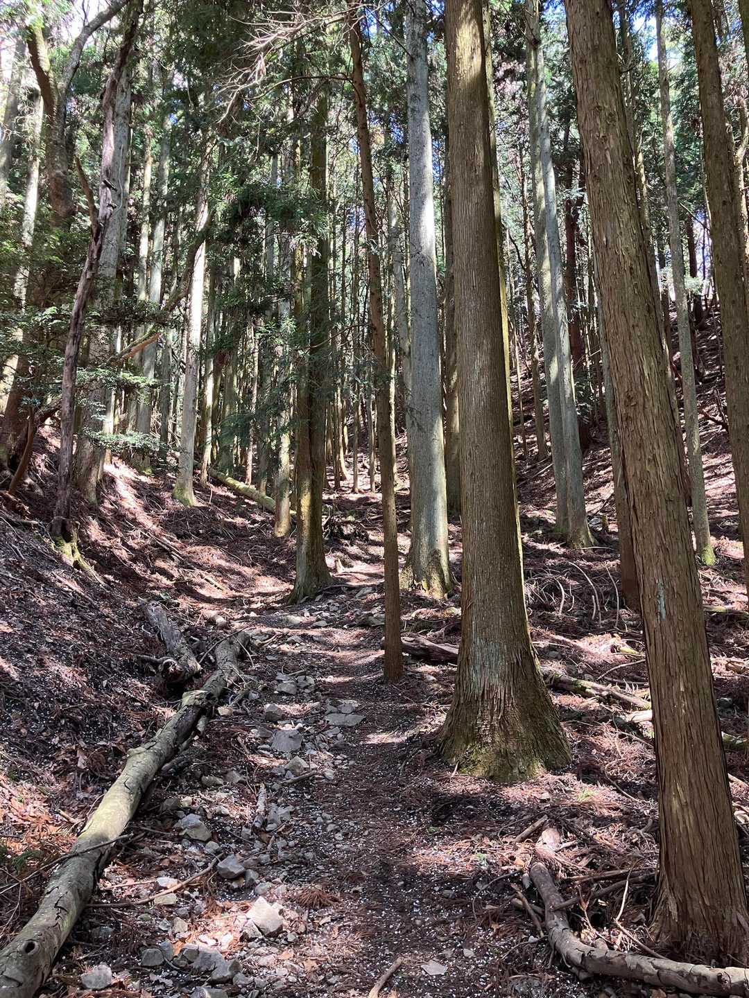 明ヶ田尾山⛰️への登り返しです 😤