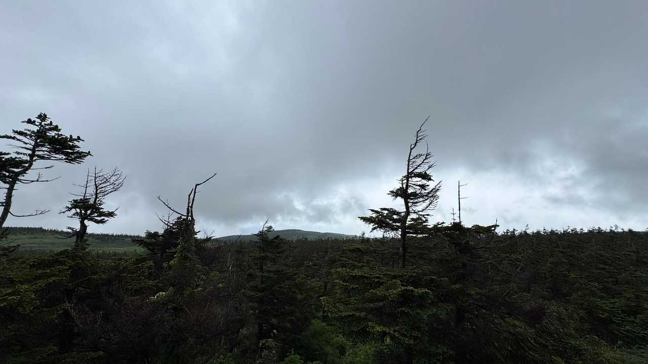 八幡平／岩手遠征 Day1 の写真 4