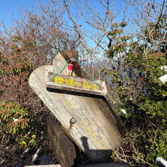 サザエ到着
本当に晴れてきた