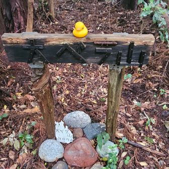 　コース上にある大ベラ山
ここで大変なことに、ダック🐤がジャケットのポケットに入れてたはずなのに…無い、無い、どこにも無い😦
来た道を戻って行くとコース上に横たわるダック🐤を発見😮‍💨
　ひとまず見つかって良かった…
この山がなければ、次の山に行ってから気づくことになるので、助かった…
☝️は、救出後のダック🐤😅
あ～良かった😮‍💨