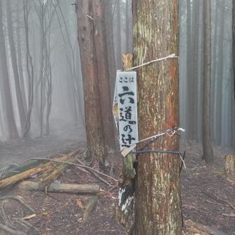 何とか