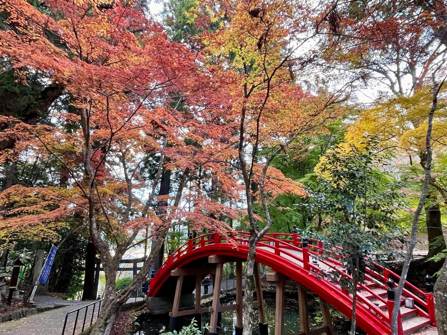 帰りにもう一度🍁

世羅の道の駅に寄って帰路につきます
Chaboさん、お世話になりました