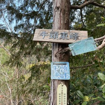 二座目　牛頸東峰登頂です⛰️