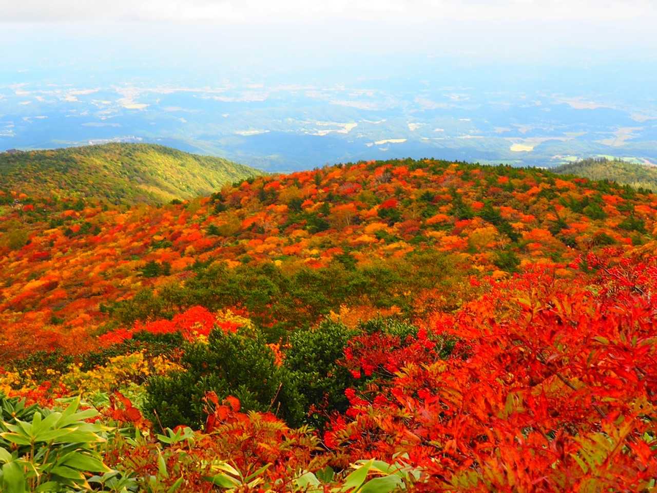 真っ赤っか🍁