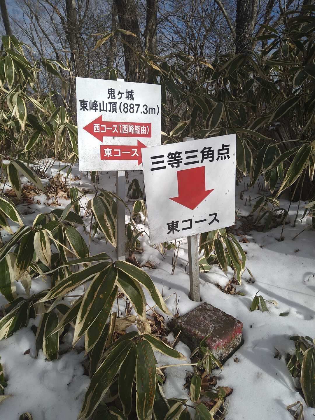 鬼ヶ城山の三角点到着