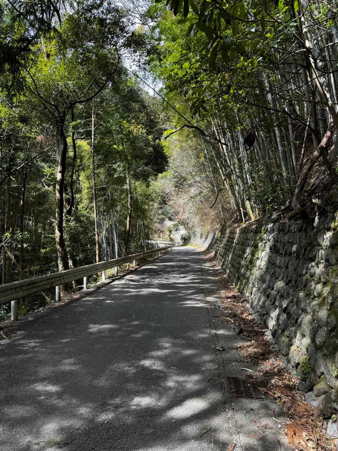 しばらくこんな舗装路歩き🚶