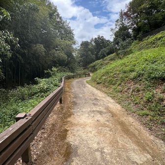 周回して、駐車場まで戻る