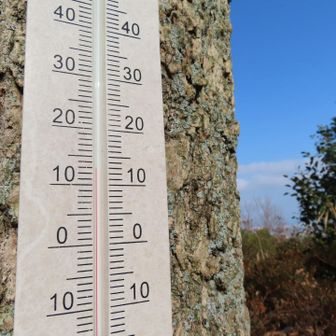 あったかい日で13度あります。