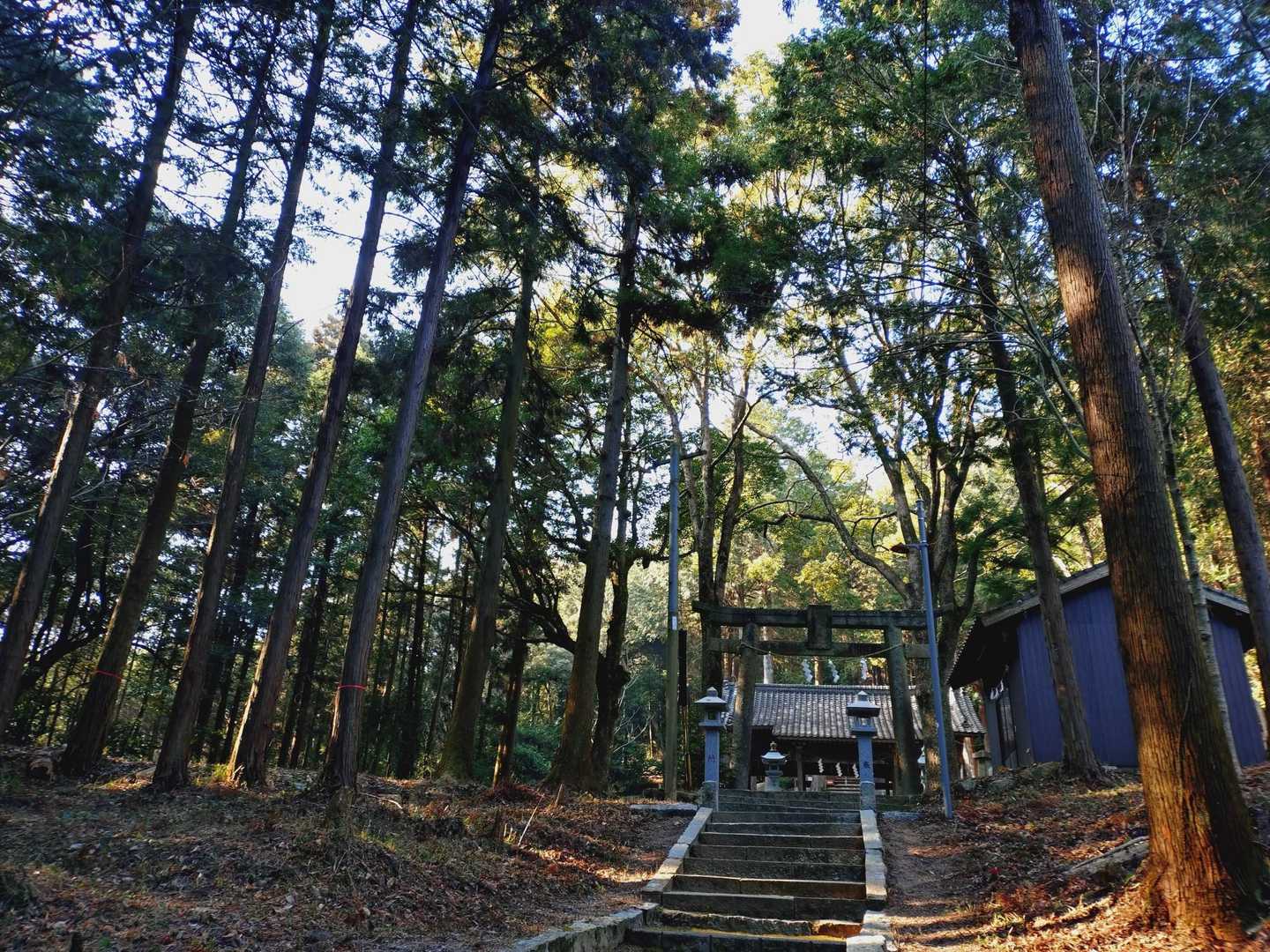 ありがとう御座いました