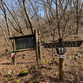 次はつつじケ丘に向かいます。